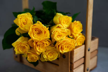 Bouquet of yellow roses on a gray background.の写真素材