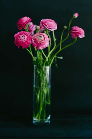 Beautiful bouquet of pink spring flowers. The ranunculi are pink on a black background. Spring bouquet for birthday, Mother's Day, March 8, Women's Day, Happy Valentine's Day. vertical photo.の写真素材