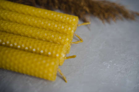 Set of Natural honey wax candles. Branch of reeds.の写真素材