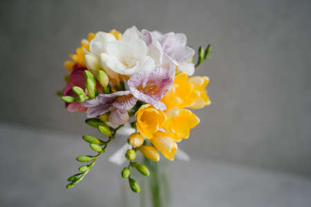 Fragrant bouquet of flowers. Bouquet of freesias. home decor.の写真素材