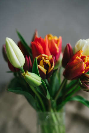 Bouquet of beautiful tulips. Spring bouquet.の写真素材