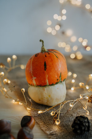 Pumpkin and nuts. Thanksgiving Day.の写真素材