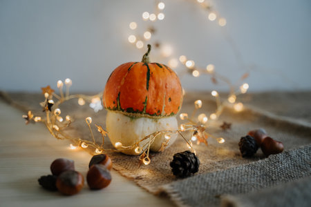 Pumpkin and nuts. Thanksgiving Day.の写真素材