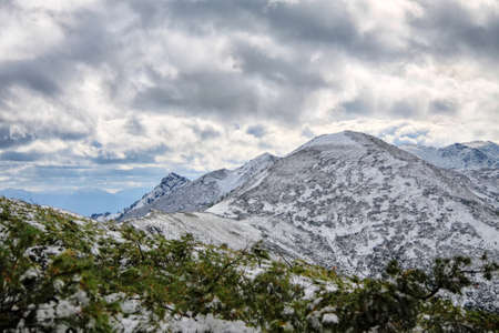 Snowy mountains and some green bushes covered slightly with the snowの写真素材