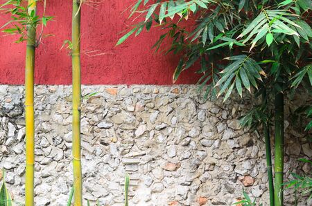 Closeup of half red half gray stone wall and bambooの写真素材