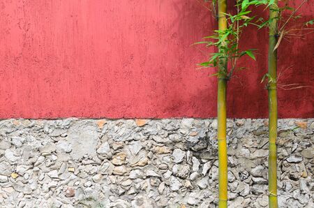 Closeup of half red half gray stone wall and two bambooの写真素材