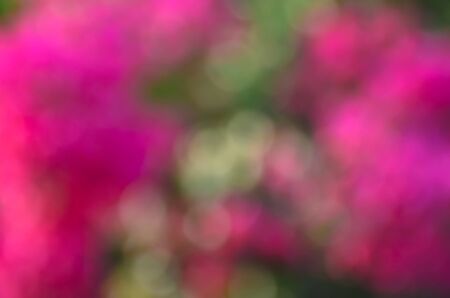 Natural blurred background of pink and greenの写真素材