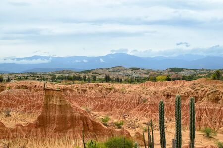 Aerial view to stunning orange sandstone formations of a desert and massive cactusの写真素材