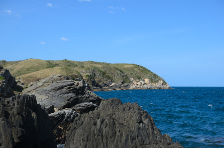 Rocks and hills covered with cactus at the seashoreの写真素材