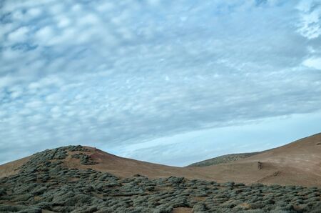 Hills of the desert covered with tillandsia plant under blue cloudy skyの写真素材