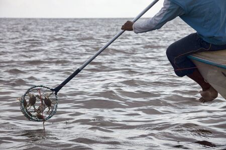 LAKE MARACAIBO, VENEZUELA, 22 NOVEMBER 2010: closeup of venezuelan man crab fishing in a traditional way from the boatのeditorial素材
