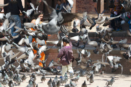 KATHMANDU, NEPAL, 2013-02-26: little girl startles numerous pigeons at the ancient squareのeditorial素材