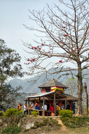 HIMALAYAS, NEPAL, 04 MARCH 2013: rustic restaurant full of people and blooming trees aroundのeditorial素材