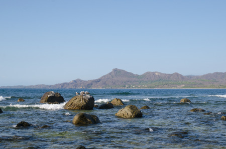 Seaguls sitting on the rock in the seaの写真素材