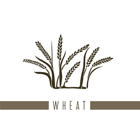 Wheat flat style vector illustration with label on white background.のイラスト素材