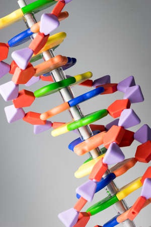 Molecular, DNA and atom model in science research labの写真素材