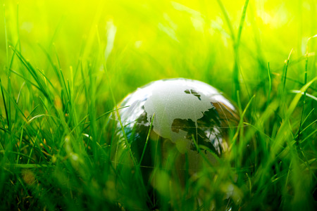 Green & Eco environment, glass globe in the gardenの写真素材