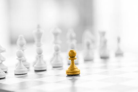 Chess business concept, leader