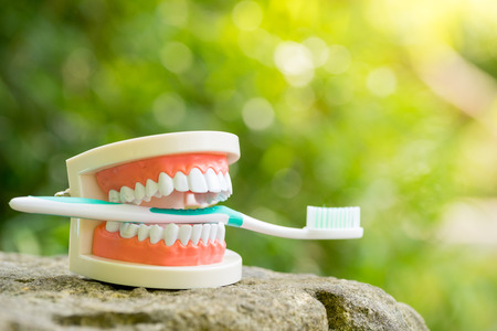 Set of Dentist's medical equipment tools in the parkの写真素材