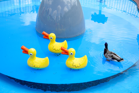 SOUTHAMPTON, ENGLAND, 14 JULY 2018: The Peppa Pig World is in Paultons Park located in Romsey, Hampshire, England. This park has around 70 attractions and rides.のeditorial素材