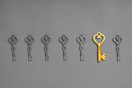 Metal key for online successful business conceptの写真素材