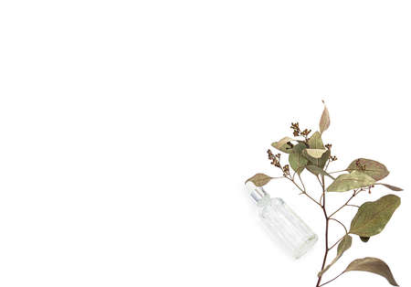 Hyaluronic acid in a bottle and dried flowers on a background on a right sideの写真素材