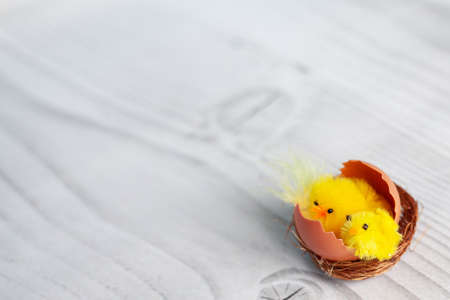 Toy chicken hatched from an egg on backgroundの写真素材