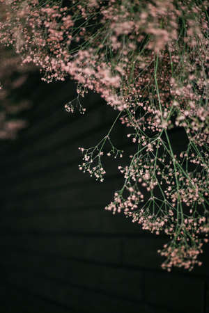 Background flowers texture decoration on wall closeupの写真素材