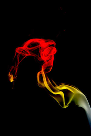 smoke -animalの写真素材