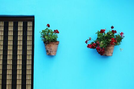 Facadeの写真素材