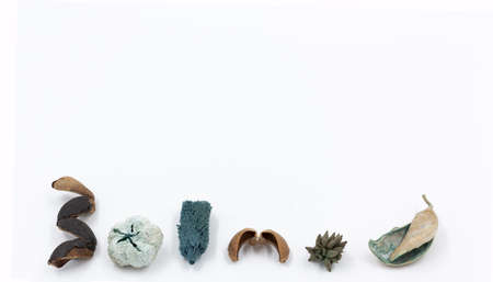 macro detail of dry decorations horizons in blue to decorate interiors of housesの写真素材