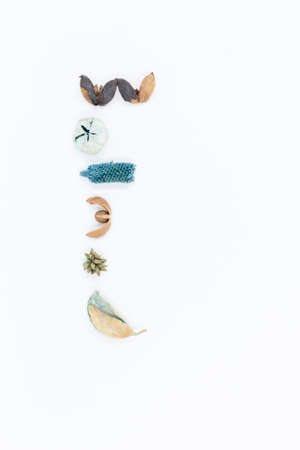 macro detail of dry decorations horizons in blue to decorate interiors of housesの写真素材