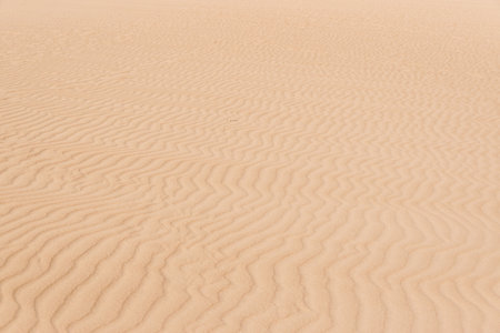 abstract texture line wave in fuerteventura, canary islandsの写真素材