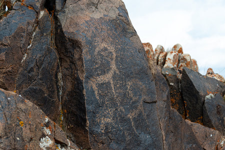 Close-up of the texture of the stone. Nature background.の写真素材