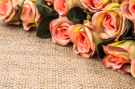 Wedding roses on rustic jute background. Flowers backgrounds.の写真素材