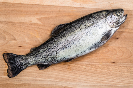 Raw trout or freshwater fish on a wooden board.の写真素材