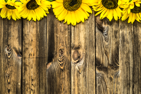 Yellow sunflowers on wooden background, top viewの写真素材