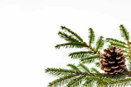 Christmas decoration, pine cone on christmas tree branch