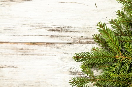 Green spruce, Christmas tree backgrounds on white table.