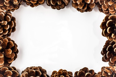 Beautiful frame from pine cones on a white background.の写真素材
