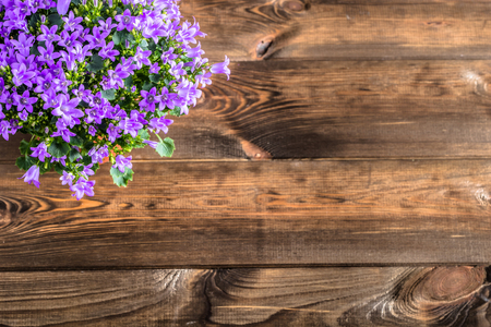Spring flowers background with copy space.の写真素材