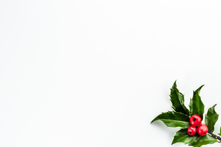 Christmas holly berry isolated on white background.の写真素材