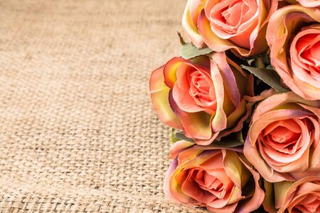 Pink roses on rustic background. Flowers frame, floral greeting card.の写真素材