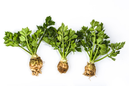 Root of celery with leaves isolated on a white backgroundの写真素材
