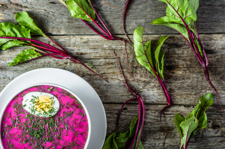 Cold soup with beet leaves served with cream, healthy cooking concept, flat layの写真素材