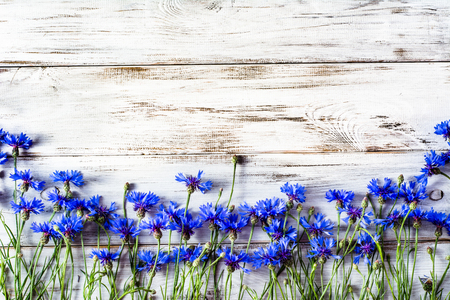 Floral frame with beautiful flowers selected on wooden backgroundの写真素材