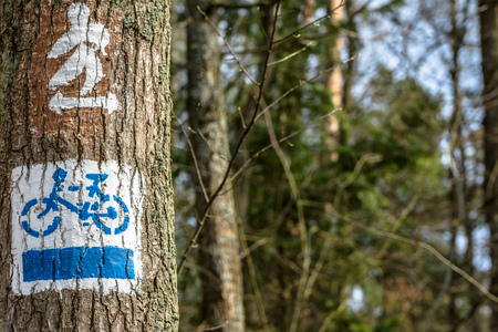 Bike path in the the forest, nordic walking and bike sign on treeの写真素材