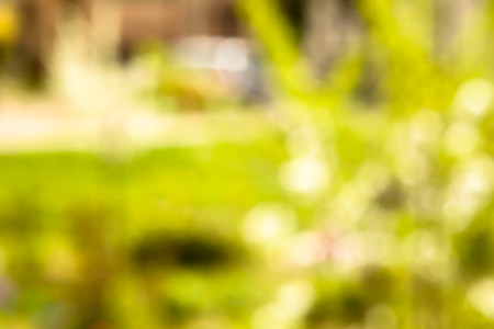Abstract out of focus green blurry background with gardenの写真素材