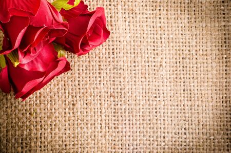 Red roses, valentines day backgroundsの写真素材