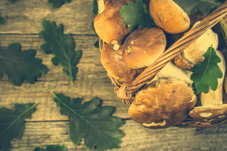 Fresh mushrooms in basket, porcini from forest harvested in autumnal season, vintage photoの写真素材